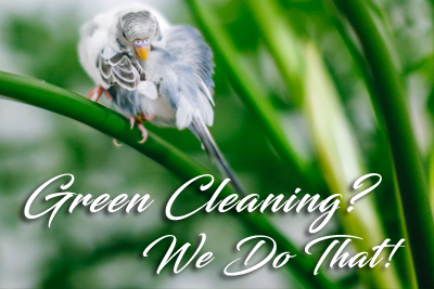 green cleaning